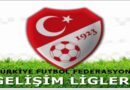 Gelişim Ligleri