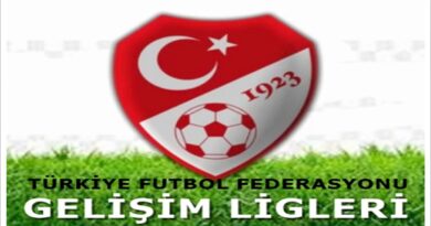 Gelişim Ligleri